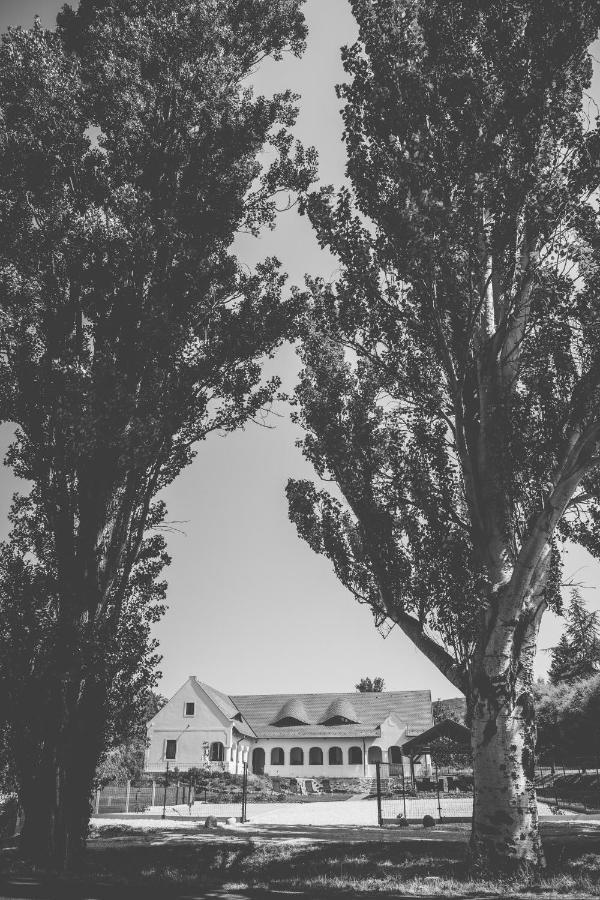 Vitorlas Vendeghaz Révfülöp Exterior foto